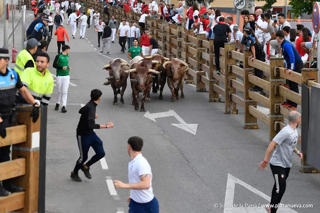Encierro de Tudela d&iacute;a 30 2025 18