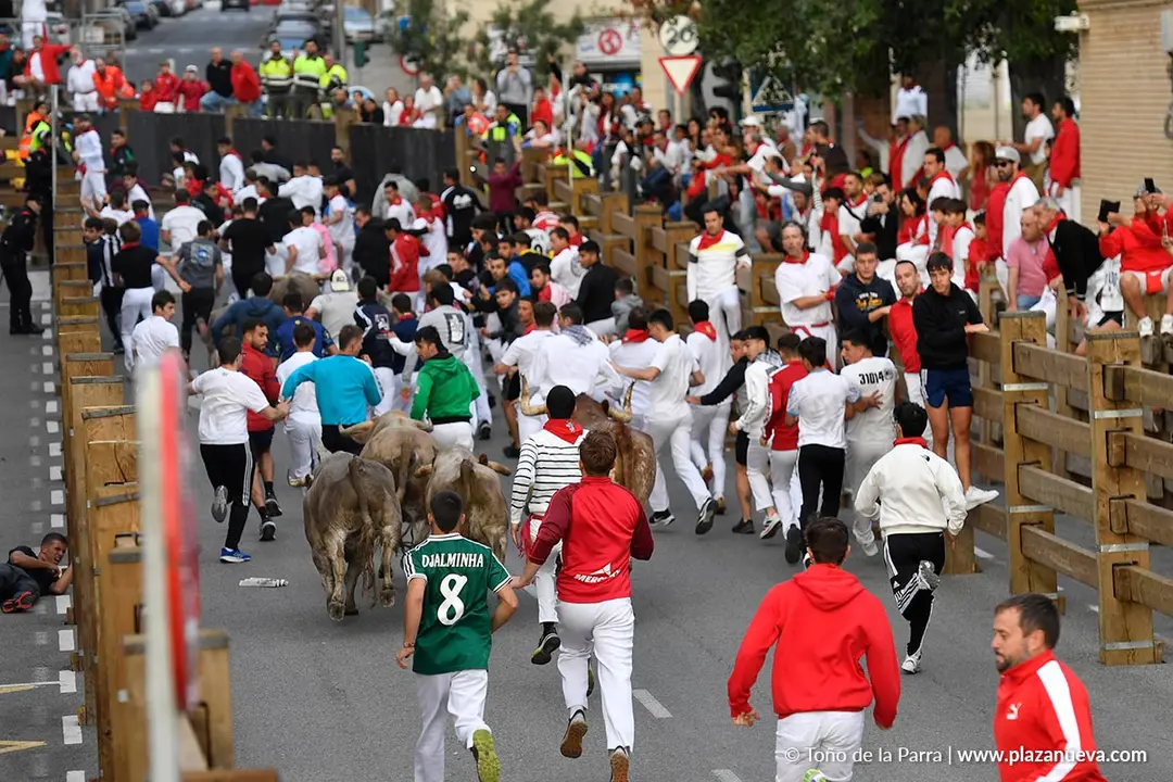 Encierro de Tudela d&iacute;a 30 2025 19