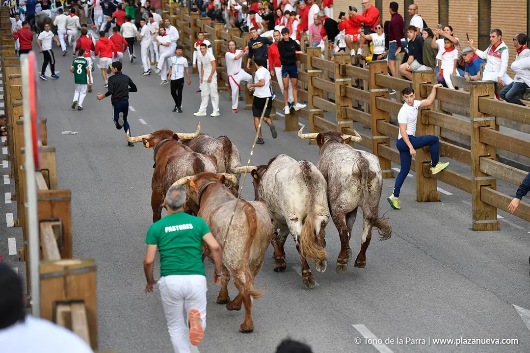 Encierro de Tudela d&iacute;a 30 2025 20