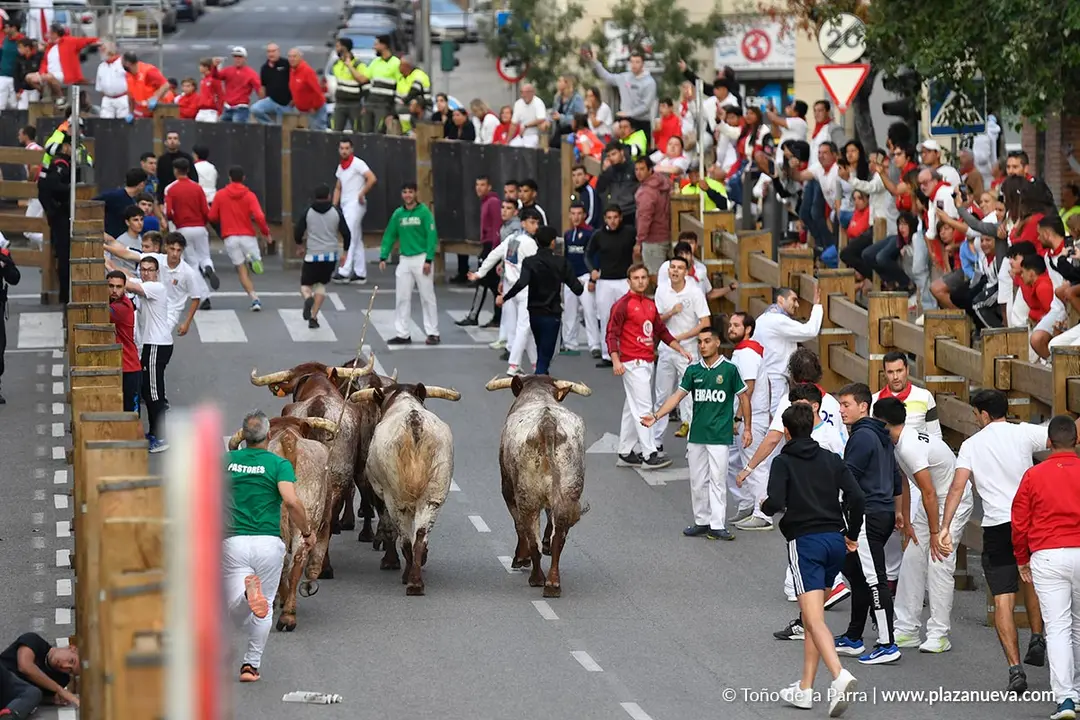Encierro de Tudela d&iacute;a 30 2025 21