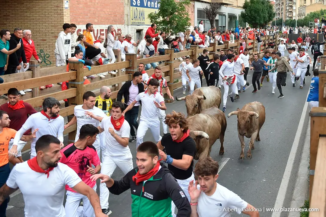 Encierro de Tudela d&iacute;a 30 2025 24