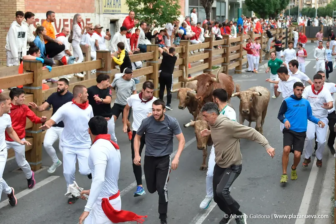 Encierro de Tudela d&iacute;a 30 2025 26