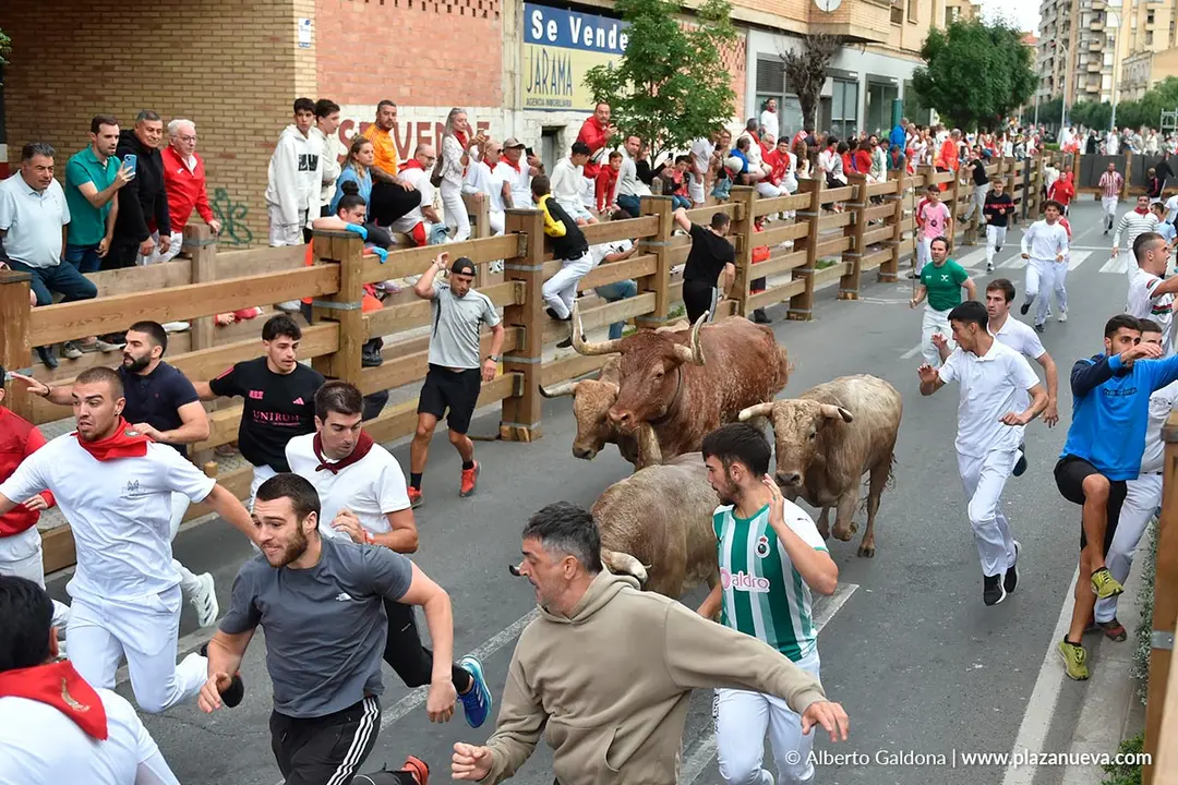 Encierro de Tudela d&iacute;a 30 2025 28