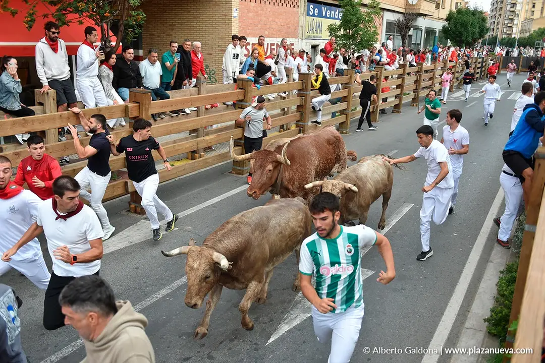 Encierro de Tudela d&iacute;a 30 2025 29