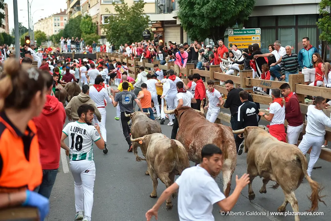 Encierro de Tudela d&iacute;a 30 2025 31