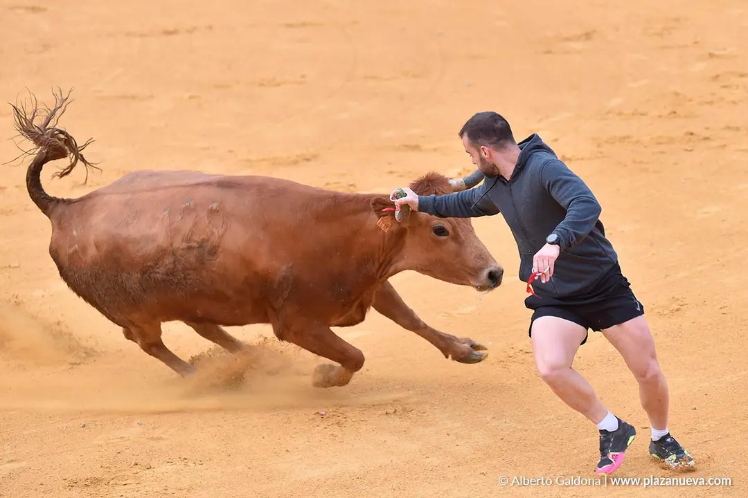 Suelta de vaquillas en Tudela d&iacute;a 30 2025 1