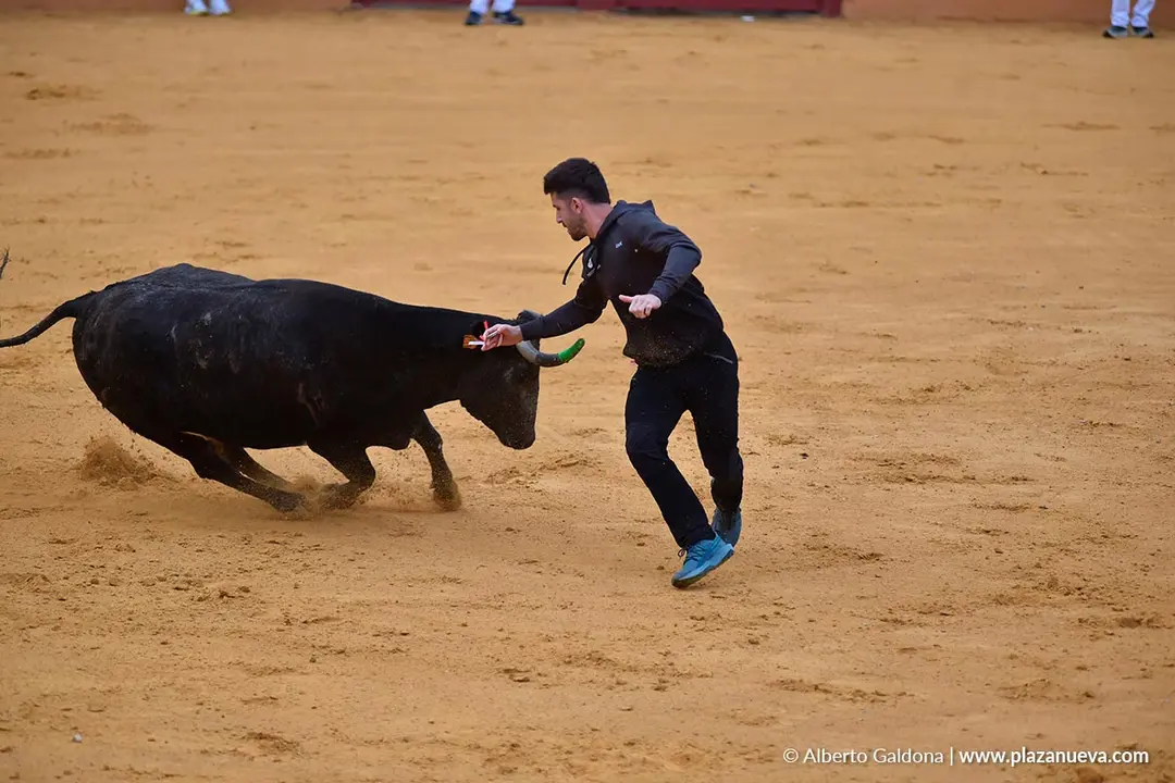 Suelta de vaquillas en Tudela d&iacute;a 30 2025 3