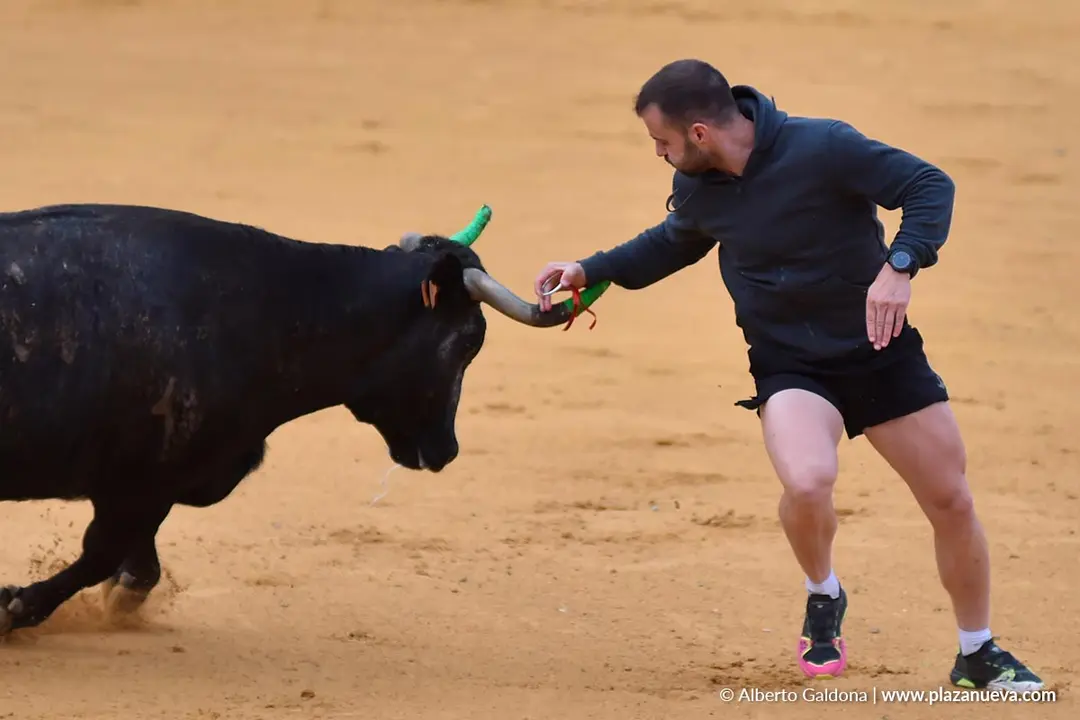 Suelta de vaquillas en Tudela d&iacute;a 30 2025 4