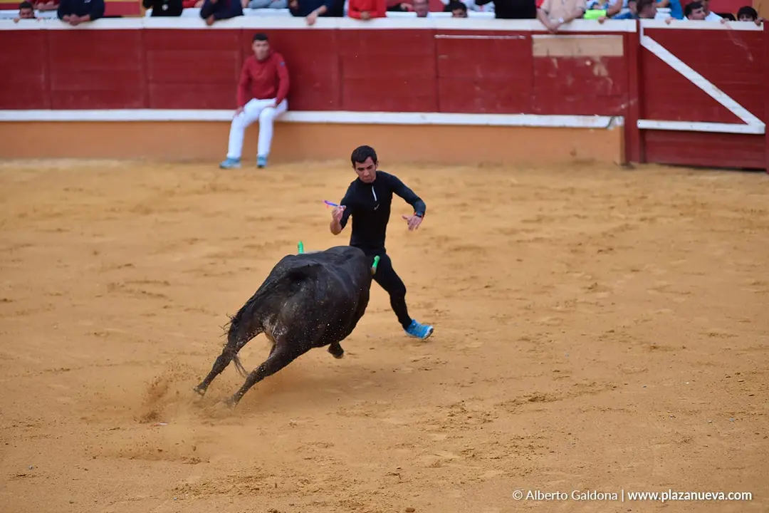 Suelta de vaquillas en Tudela d&iacute;a 30 2025 5