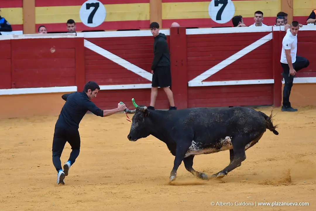 Suelta de vaquillas en Tudela d&iacute;a 30 2025 6