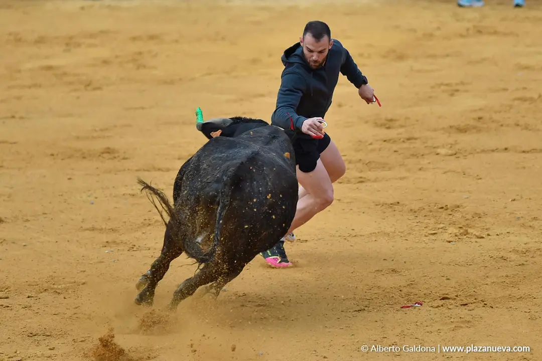 Suelta de vaquillas en Tudela d&iacute;a 30 2025 8
