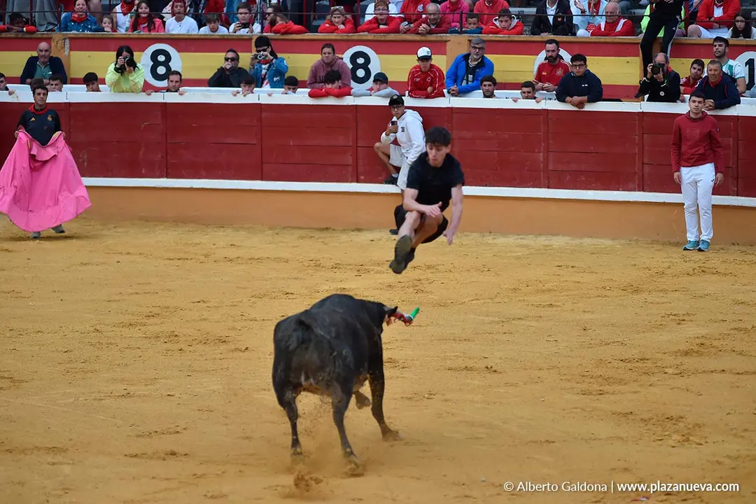 Suelta de vaquillas en Tudela d&iacute;a 30 2025 7