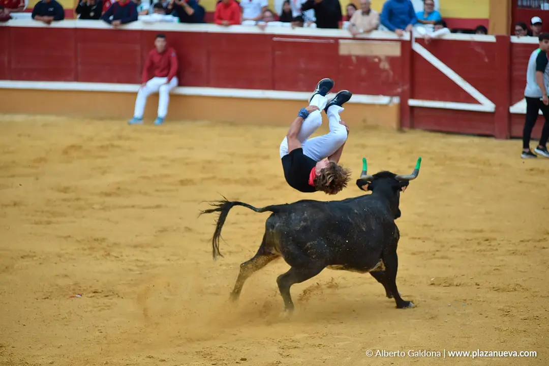 Suelta de vaquillas en Tudela d&iacute;a 30 2025 9