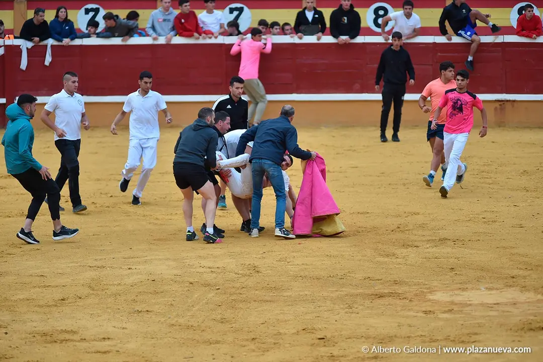 Suelta de vaquillas en Tudela d&iacute;a 30 2025 11