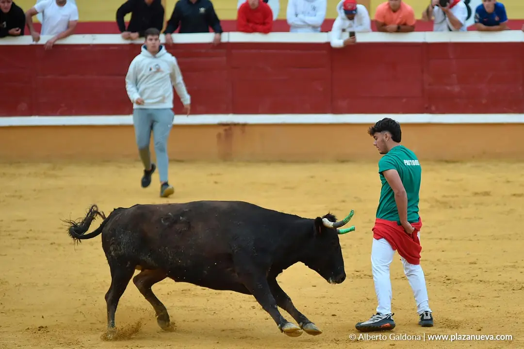 Suelta de vaquillas en Tudela d&iacute;a 30 2025 12