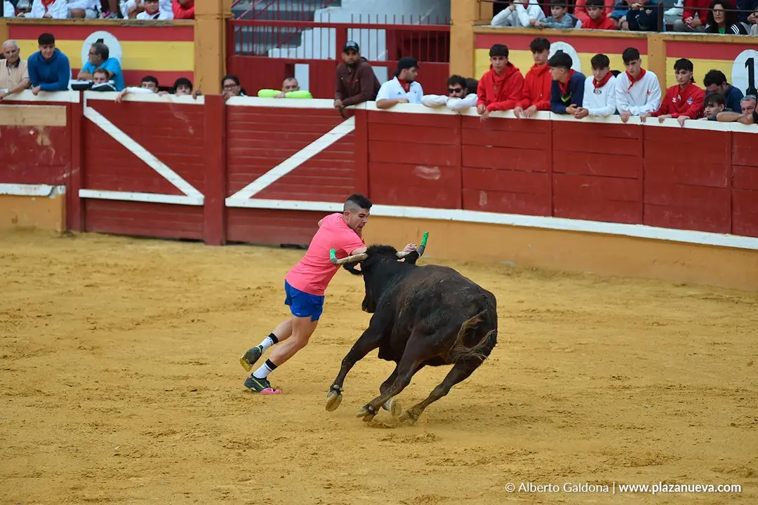 Suelta de vaquillas en Tudela d&iacute;a 30 2025 13