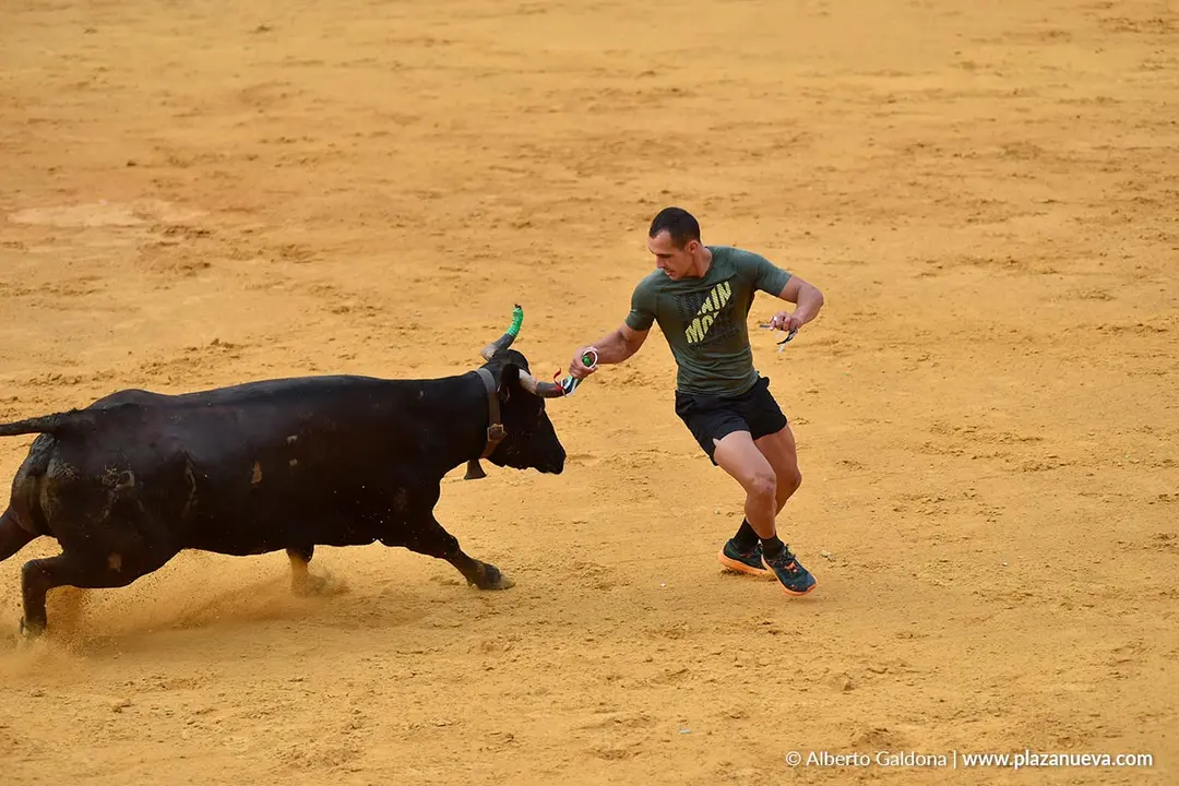 Suelta de vaquillas en Tudela d&iacute;a 30 2025 14