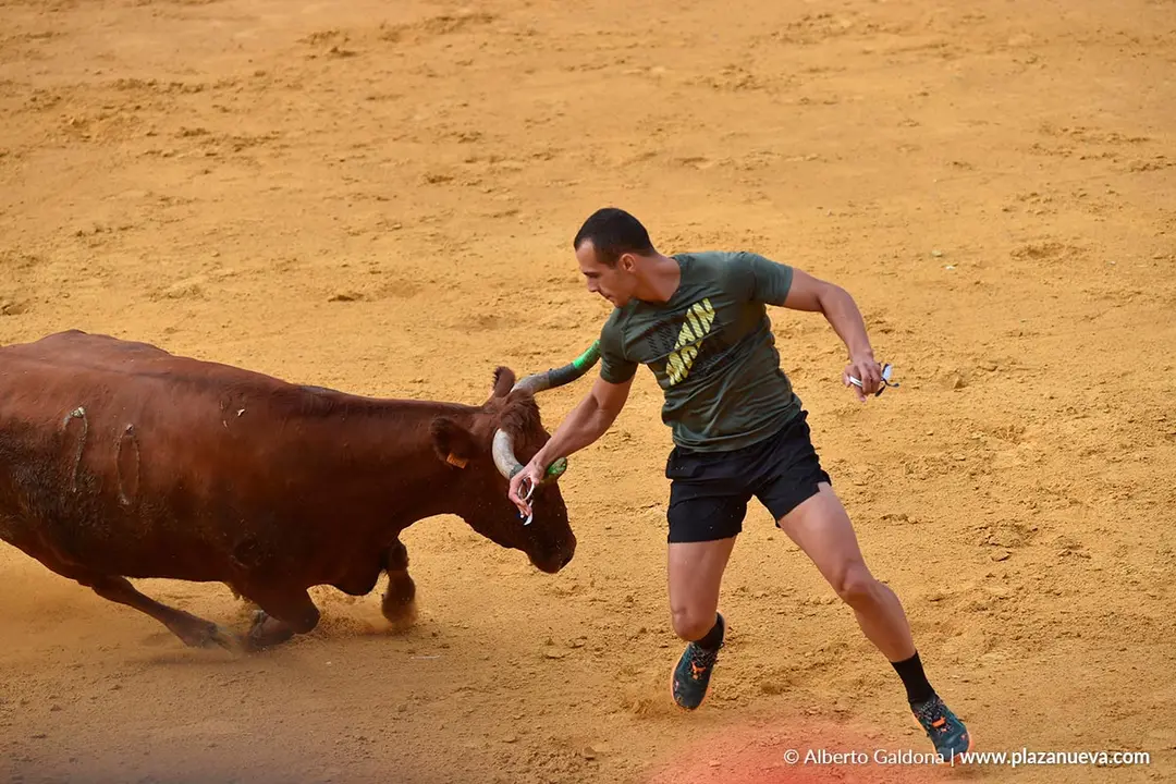 Suelta de vaquillas en Tudela d&iacute;a 30 2025 15