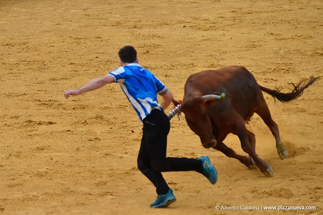 Suelta de vaquillas en Tudela d&iacute;a 30 2025 16