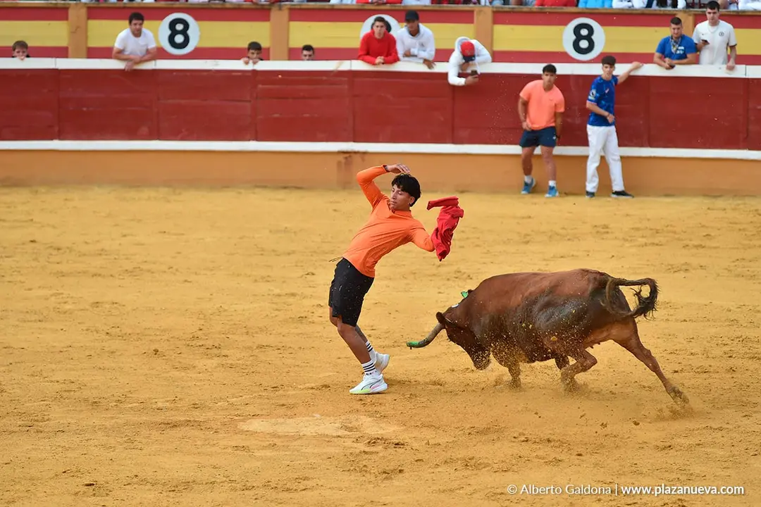 Suelta de vaquillas en Tudela d&iacute;a 30 2025 17