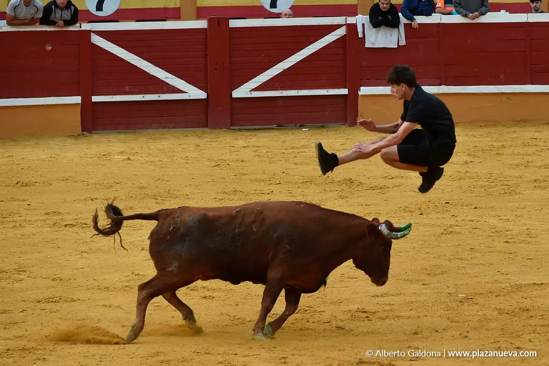Suelta de vaquillas en Tudela d&iacute;a 30 2025 18