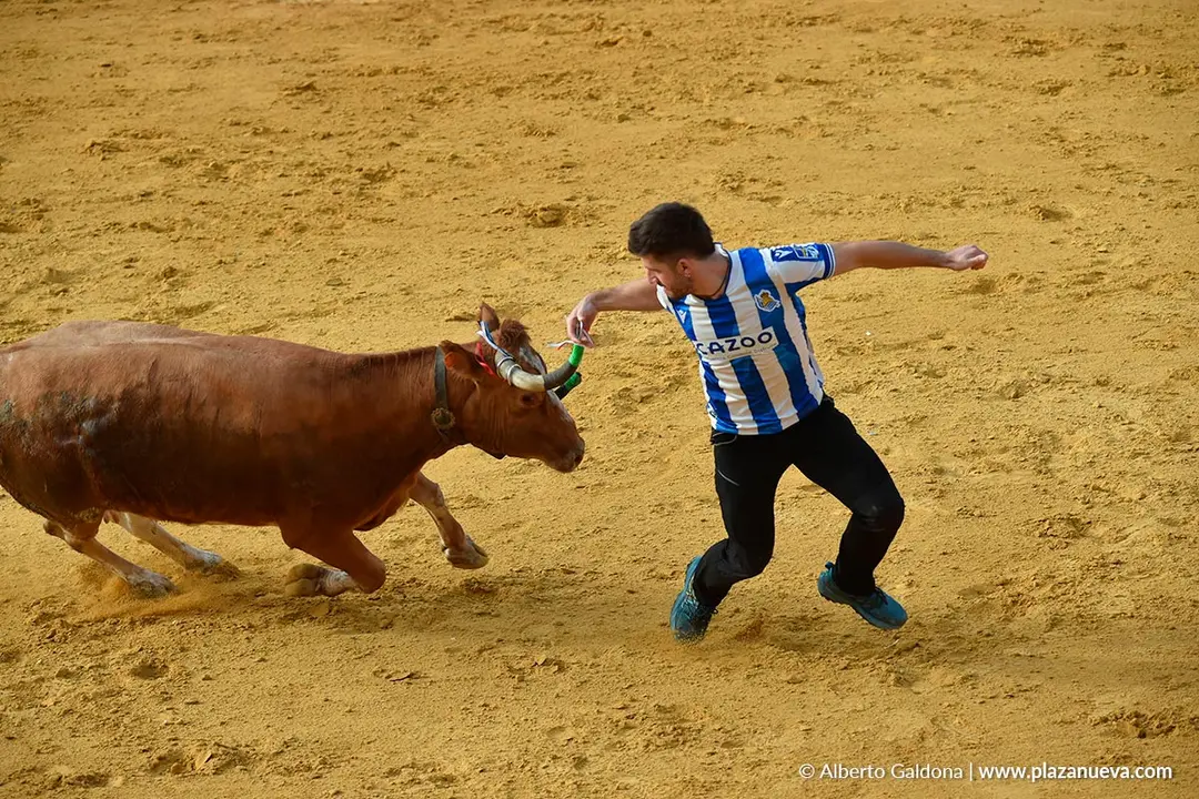 Suelta de vaquillas en Tudela d&iacute;a 30 2025 20