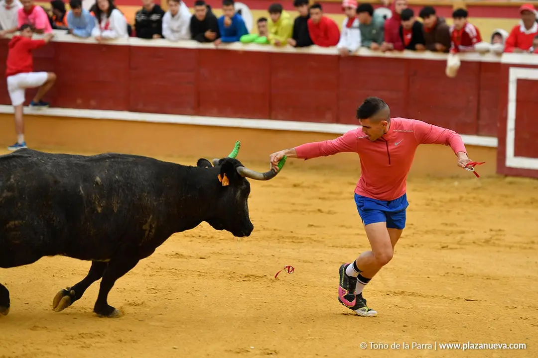 Suelta de vaquillas en Tudela d&iacute;a 30 2025 21
