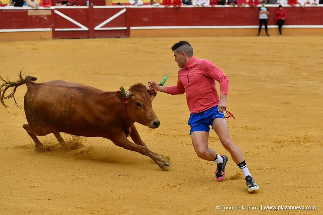 Suelta de vaquillas en Tudela d&iacute;a 30 2025 22