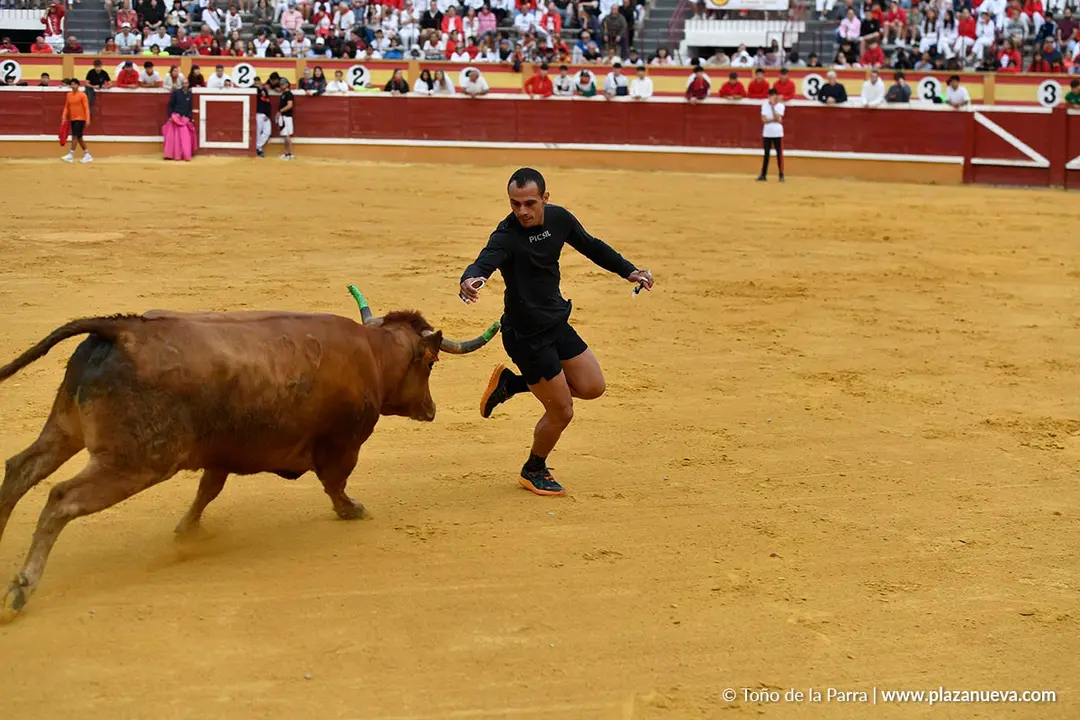 Suelta de vaquillas en Tudela d&iacute;a 30 2025 23