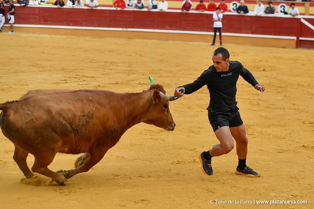 Suelta de vaquillas en Tudela d&iacute;a 30 2025 24