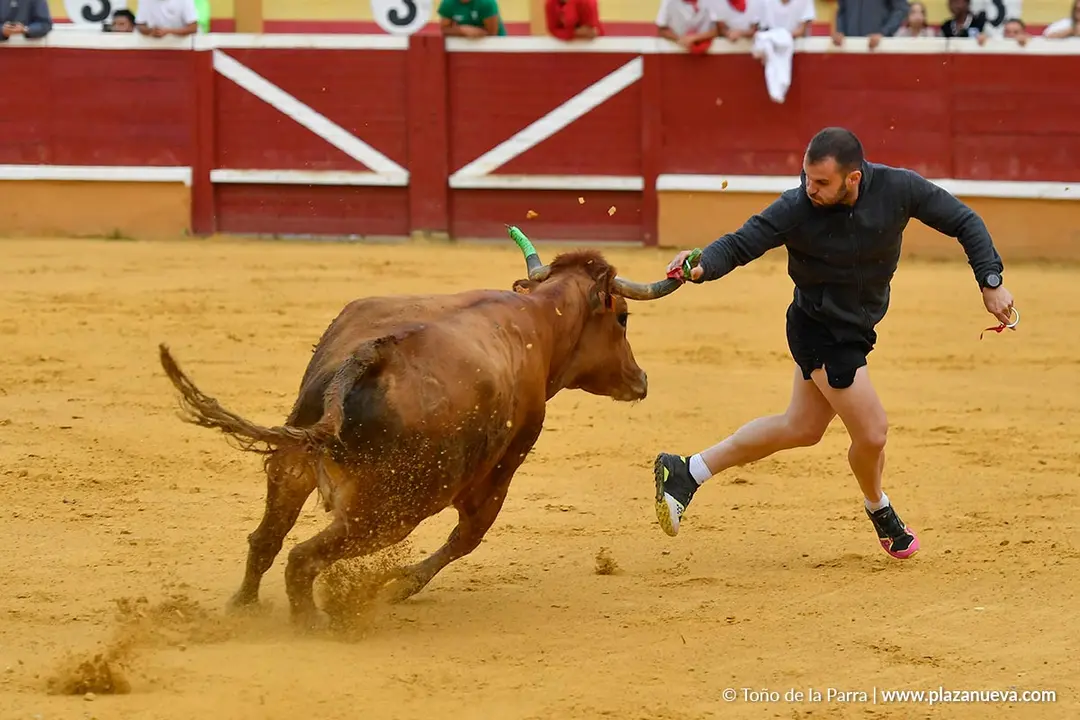 Suelta de vaquillas en Tudela d&iacute;a 30 2025 25