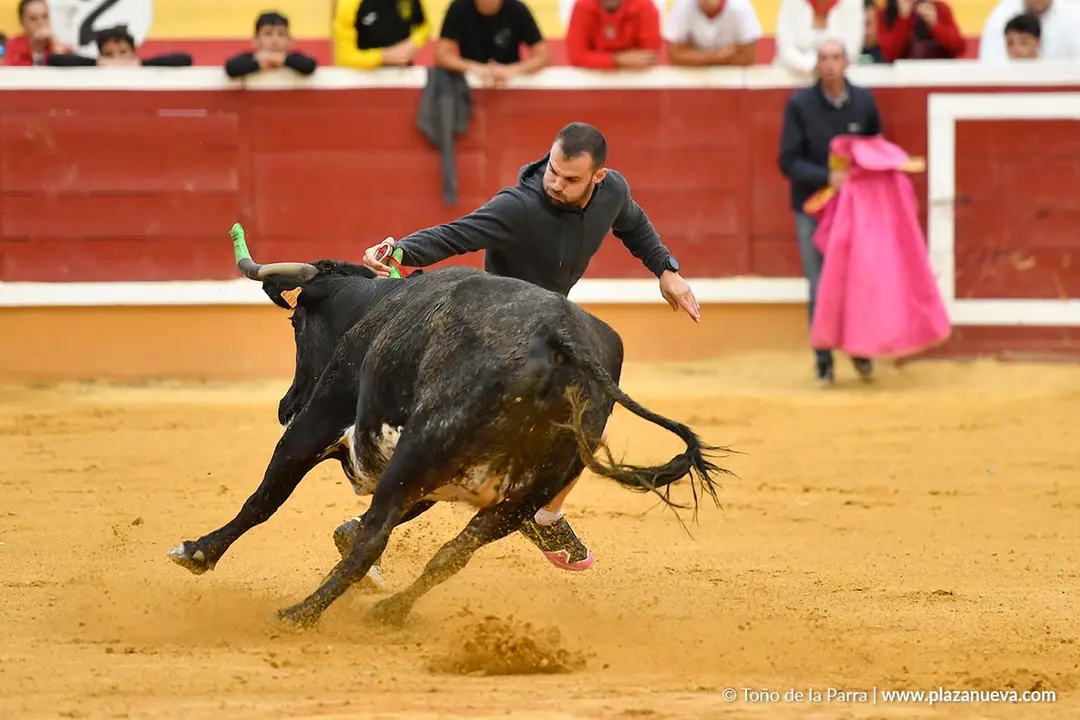Suelta de vaquillas en Tudela d&iacute;a 30 2025 27