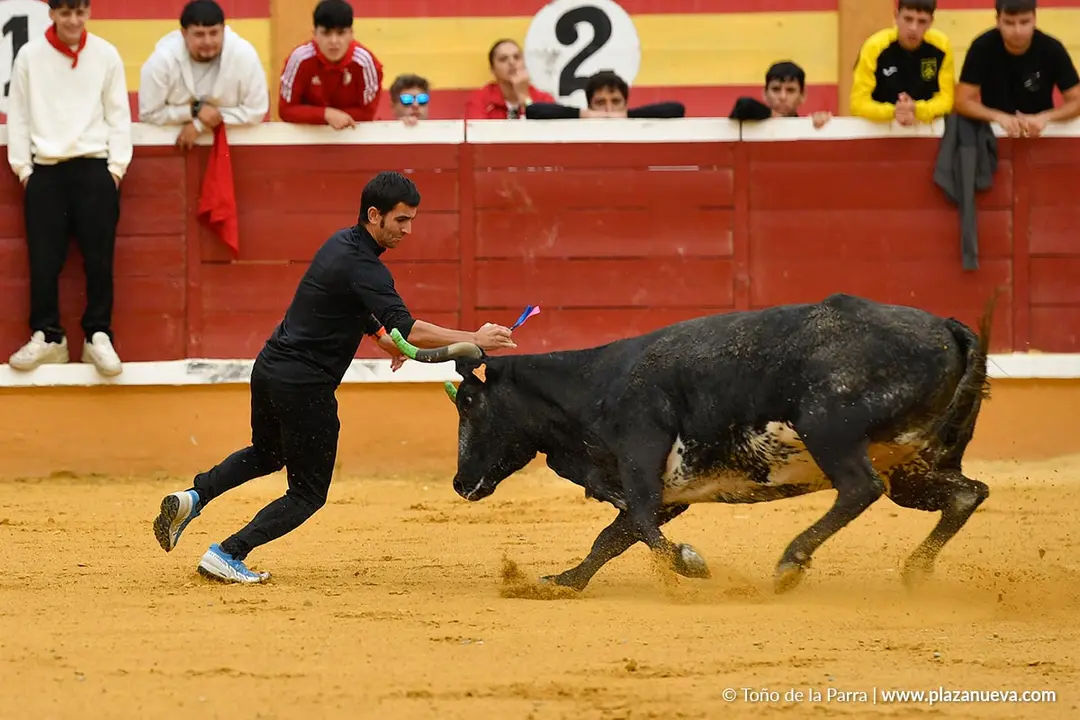 Suelta de vaquillas en Tudela d&iacute;a 30 2025 28
