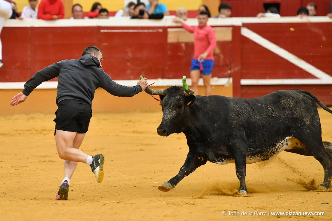 Suelta de vaquillas en Tudela d&iacute;a 30 2025 29