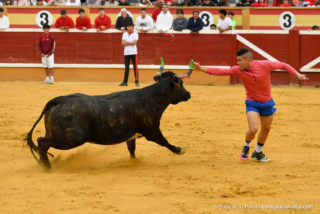Suelta de vaquillas en Tudela d&iacute;a 30 2025 30