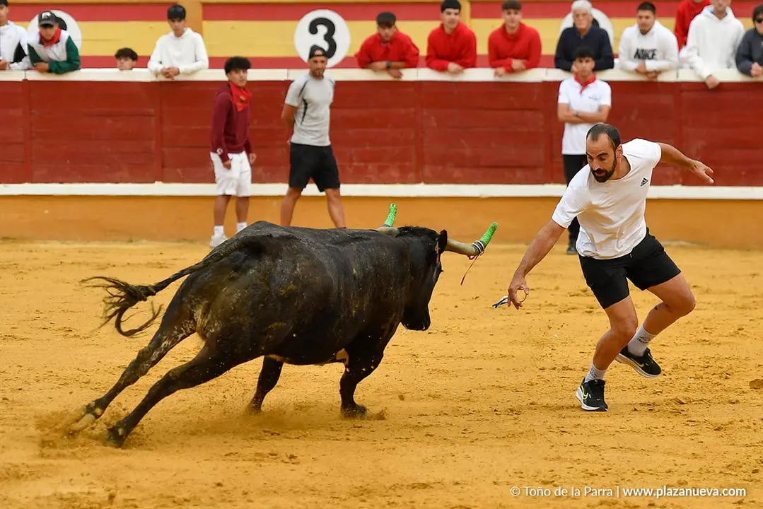 Suelta de vaquillas en Tudela d&iacute;a 30 2025 31