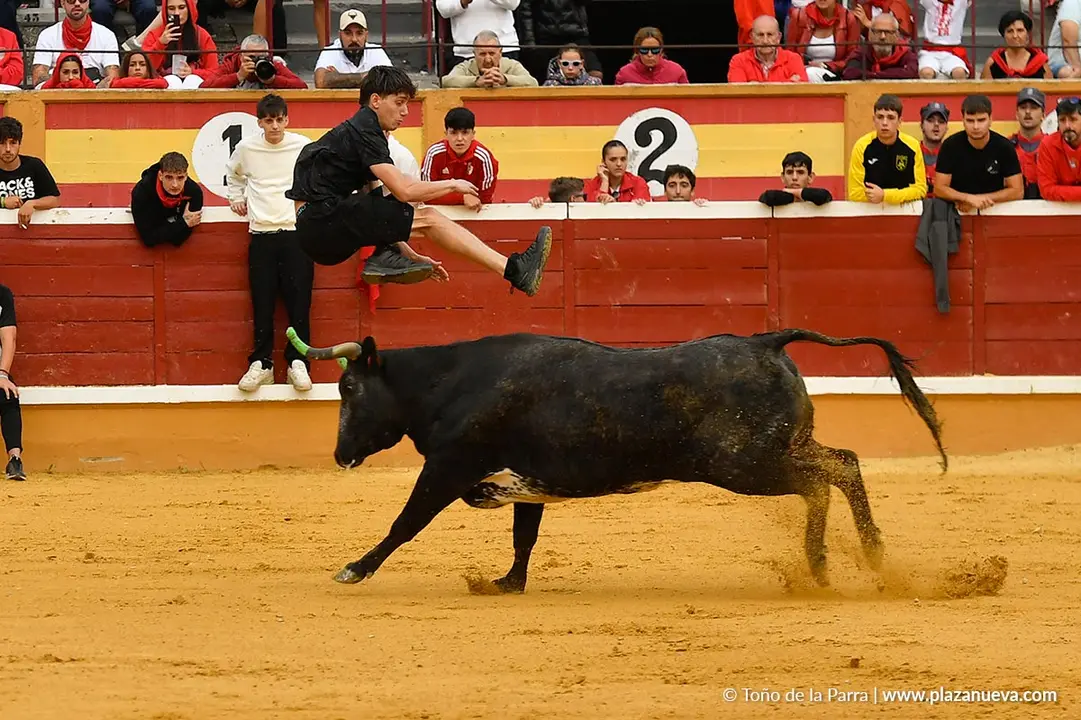 Suelta de vaquillas en Tudela d&iacute;a 30 2025 32