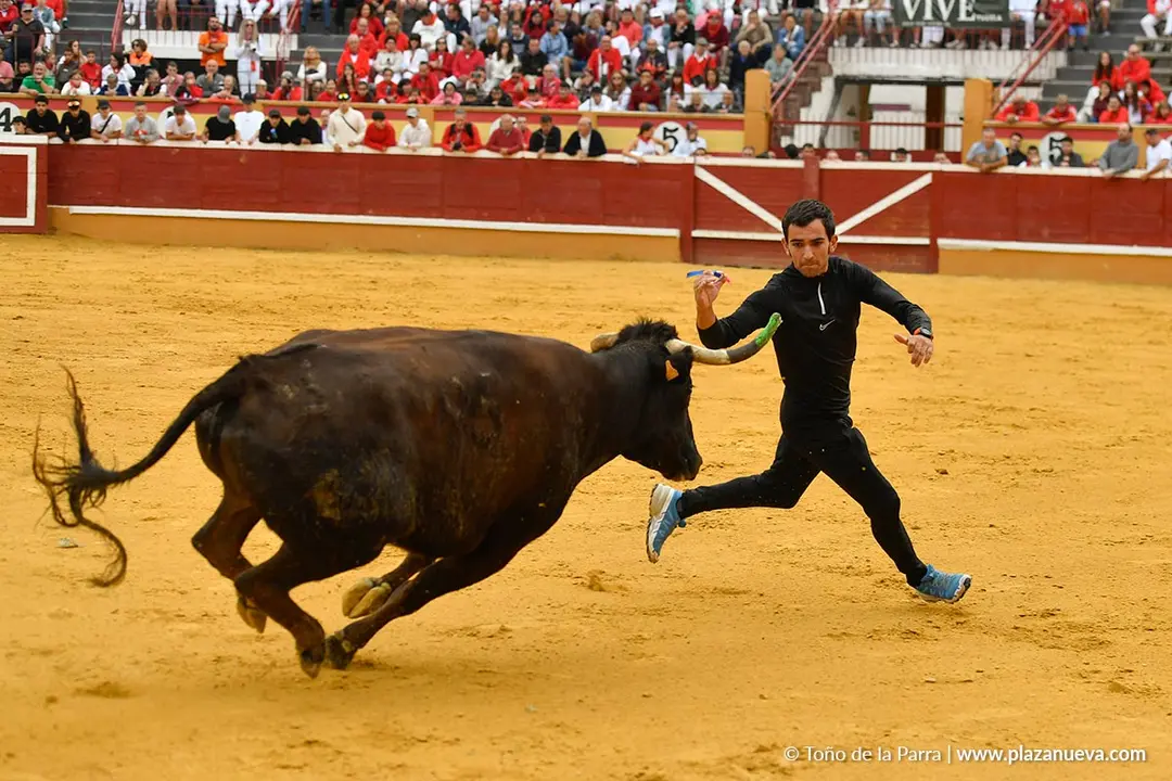 Suelta de vaquillas en Tudela d&iacute;a 30 2025 33