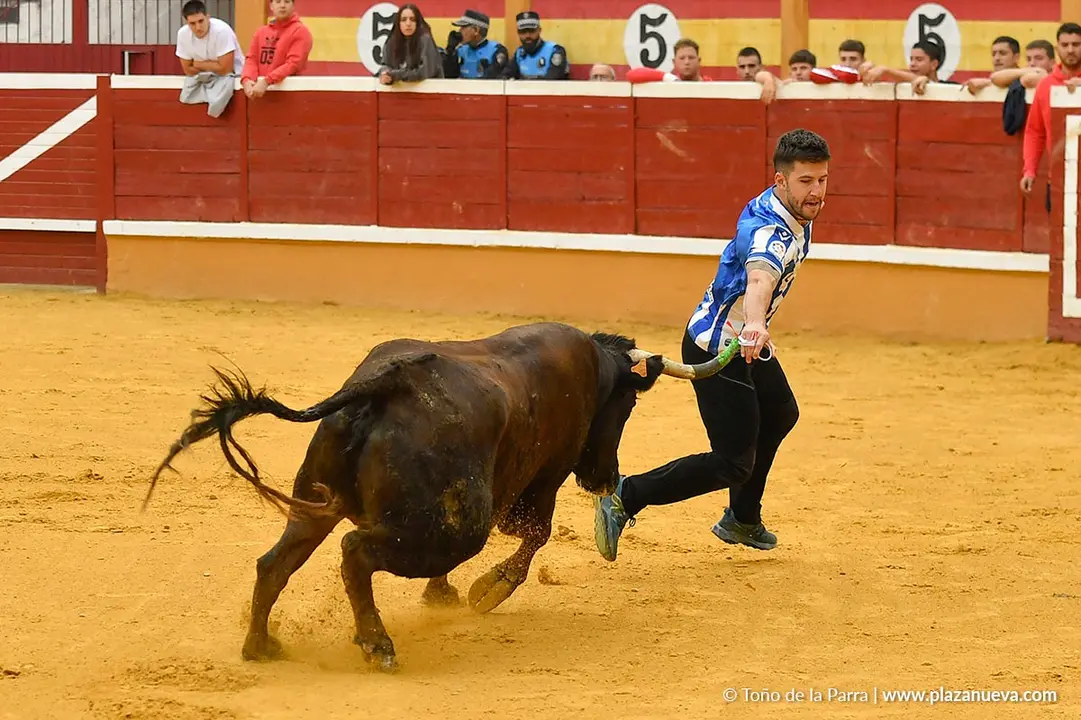 Suelta de vaquillas en Tudela d&iacute;a 30 2025 34