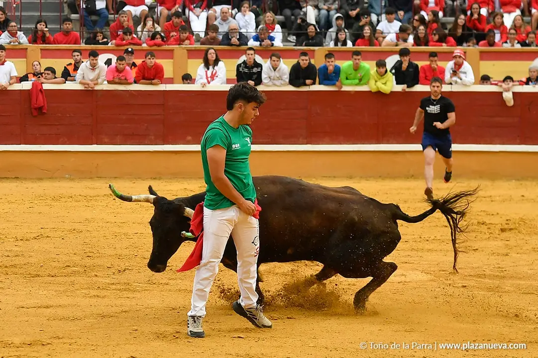 Suelta de vaquillas en Tudela d&iacute;a 30 2025 35