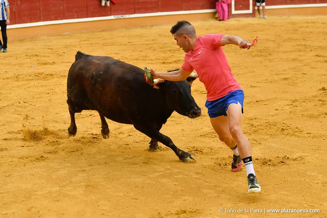 Suelta de vaquillas en Tudela d&iacute;a 30 2025 36