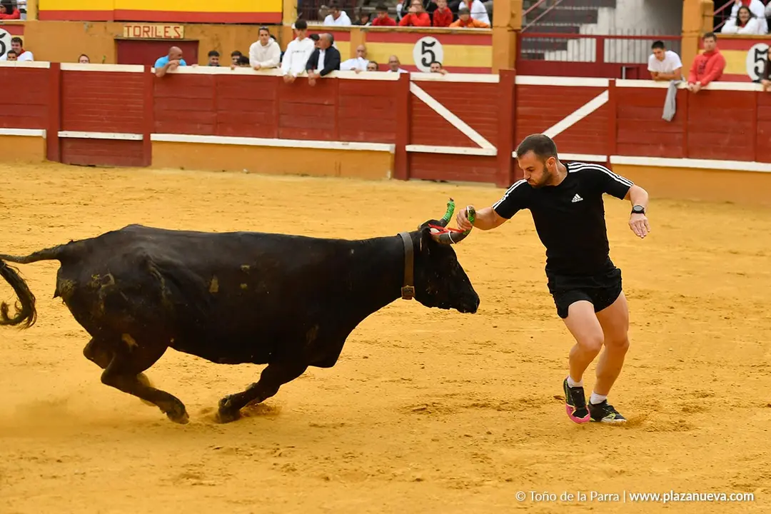 Suelta de vaquillas en Tudela d&iacute;a 30 2025 38