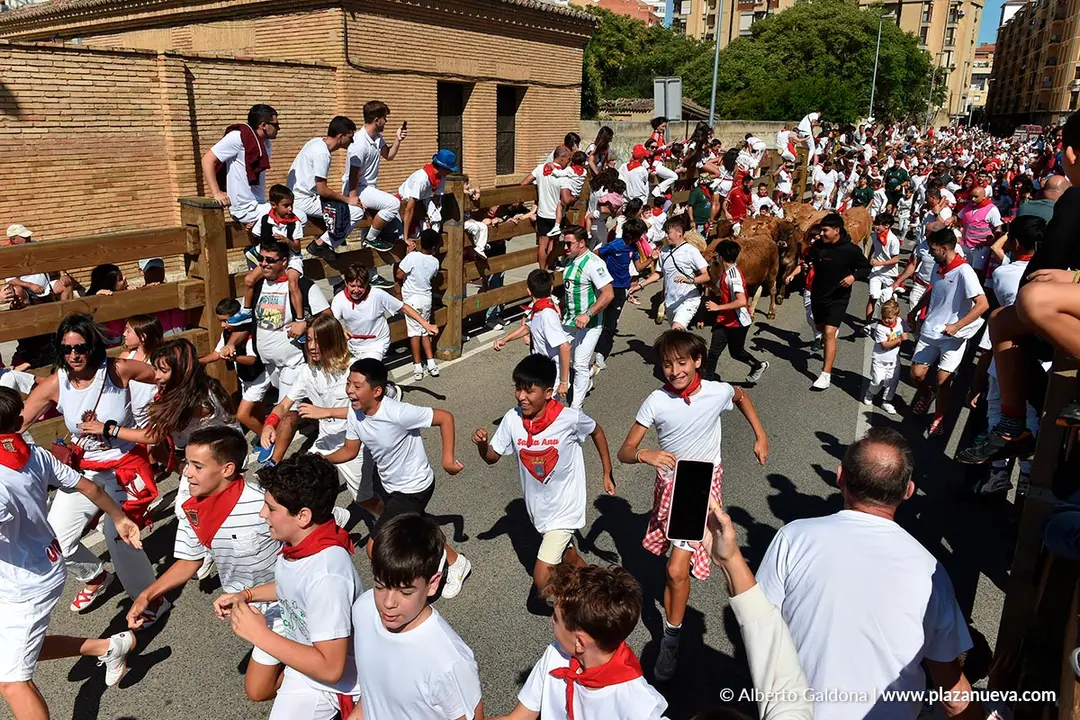 Trashumancia infantil en Tudela d&iacute;a 30 2025 4
