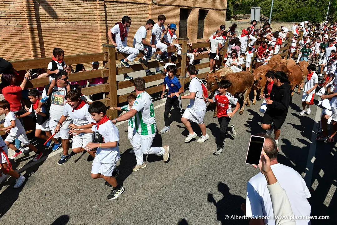 Trashumancia infantil en Tudela d&iacute;a 30 2025 5