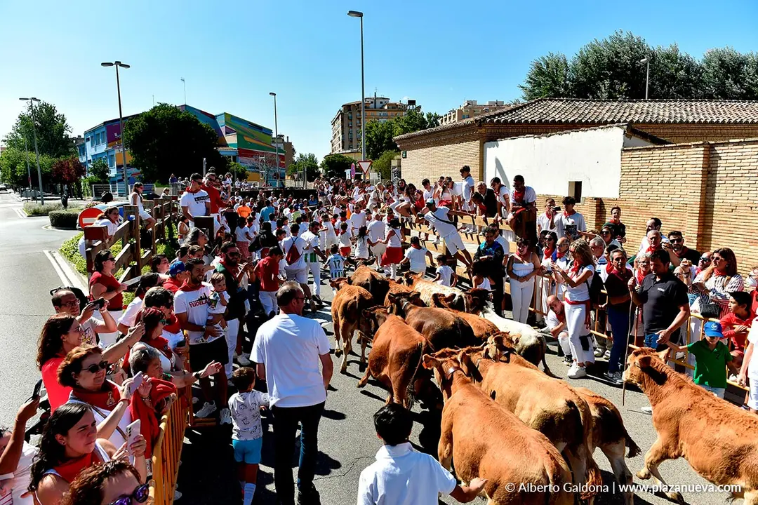Trashumancia infantil en Tudela d&iacute;a 30 2025 6