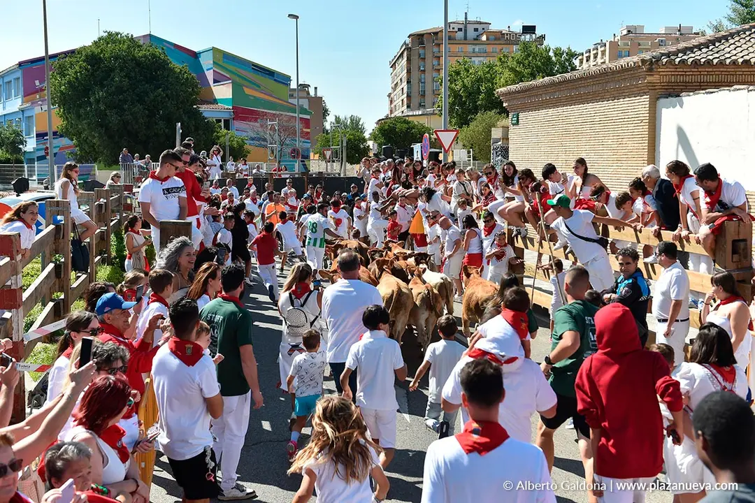 Trashumancia infantil en Tudela d&iacute;a 30 2025 7