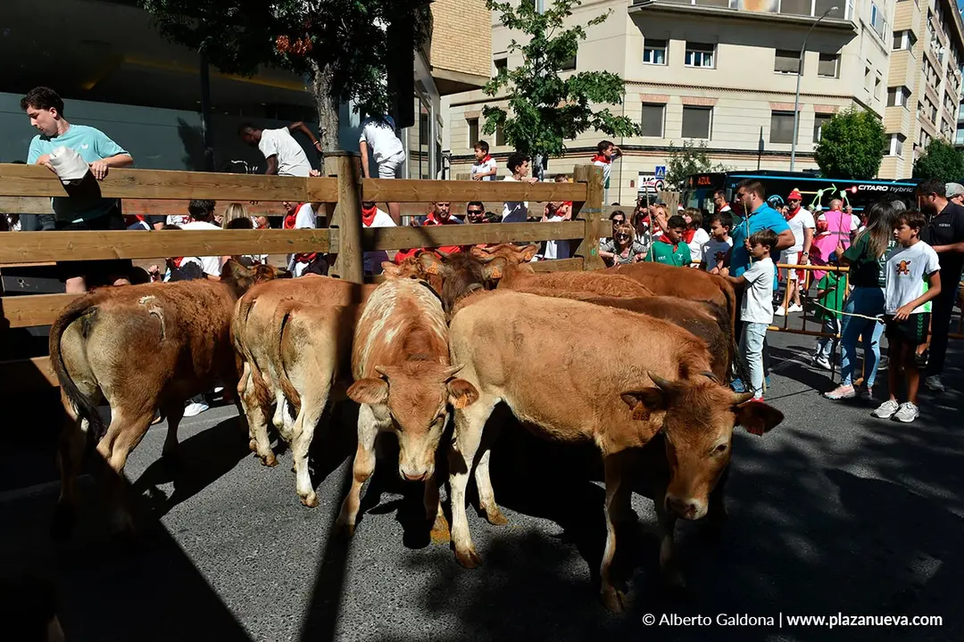 Trashumancia infantil en Tudela d&iacute;a 30 2025 8
