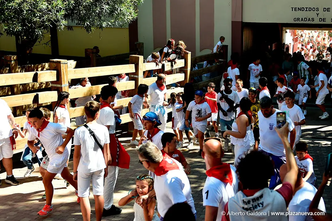 Trashumancia infantil en Tudela d&iacute;a 30 2025 10