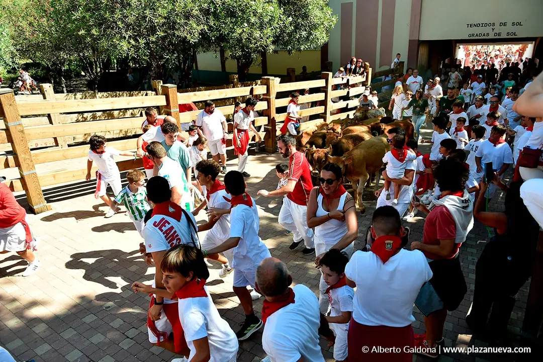 Trashumancia infantil en Tudela d&iacute;a 30 2025 11