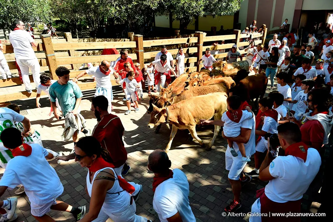Trashumancia infantil en Tudela d&iacute;a 30 2025 12
